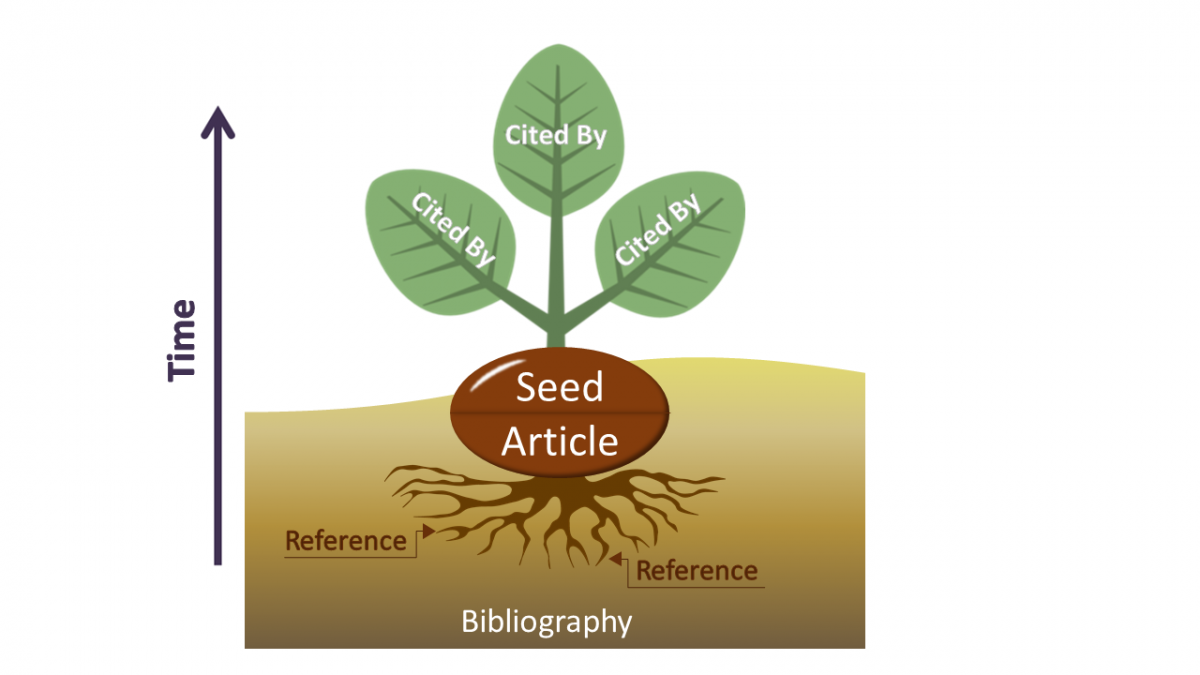 Citation mining diagram