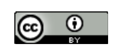 Creative Commons Attribution 4.0 International License icon